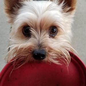 Meet your Posher, Mark-melissa